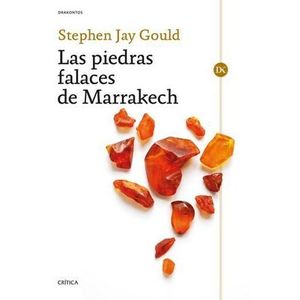 Portada del libro LAS PIEDRAS FALACES DE MARRAKERCH Autor GOULD, STEPHEN JAY