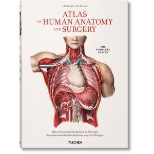 Portada del libro ATLAS OF HUMAN ANATOMY AND SURGERY Autor BOURCERY, J M Y OTROS