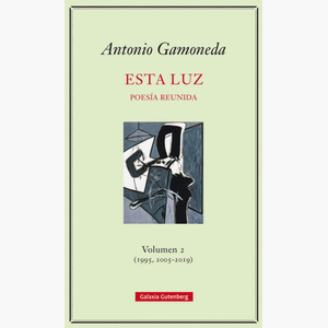 Portada del libro ESTA LUZ VOLUMEN 2 1995 2005 2019 Autor GAMONEDA, ANTONIO