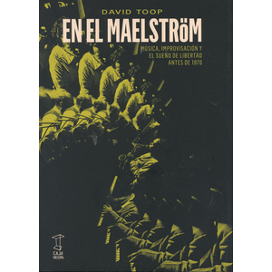 Portada del libro EN EL MAELSTROM Autor TOOP, DAVID