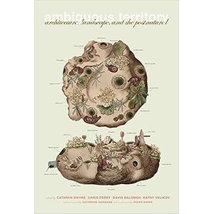 Portada del libro AMBIGUOUS TERRITORY Autor DWYRE, CATHRYN Y OTROS