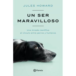 Portada del libro UN SER MARAVILLOSO Autor HOWARD, JULES