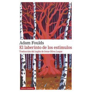 Portada del libro EL LABERINTO DE LOS ESTIMULOS Autor FOULDS, ADAM
