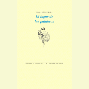 Portada del libro LUGAR DE LAS PALABRAS, EL Autor GOMEZ LARA, MARIA