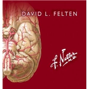 Portada del libro NETTER FLASHCARDS DE NEUROCIENCIA Autor FELTEN, DAVID L.
