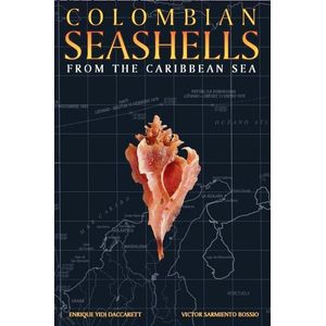 COLOMBIAN SEASHELLS