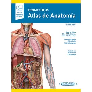 Portada del libro PROMETHEUS ATLAS DE ANATOMIA Autor GILROY, ANNE M Y OTROS