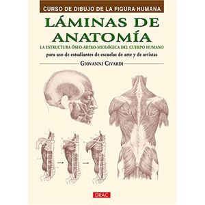Portada del libro LAMINAS DE ANATOMIA CURSO DE DIBUJO DE LA FIGURA HUMANA Autor CIVARDI, GIOVANNI