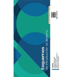 Portada del libro ESQUEMAS DE INTRODUCCION AL DERECHO Autor RINCON RIOS, JARVEY Y CASAÑAS , MARIA CAMILA