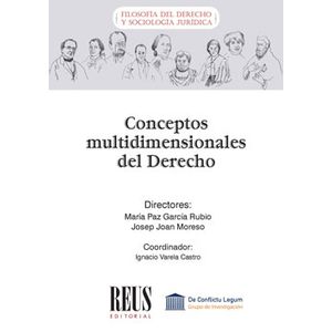 Portada del libro CONCEPTOS MULTIDIMENSIONALES DEL DERECHO Autor GARCIA RUBIO, MARIA PAZ Y OTRO
