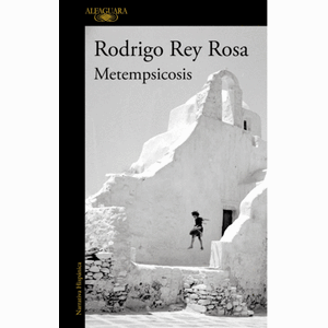 Portada del libro METEMPSICOSIS Autor REY ROSA, RODRIGO