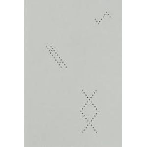 Portada del libro CONEXIONES Autor RAMIREZ BOTERO, ENRIQUE