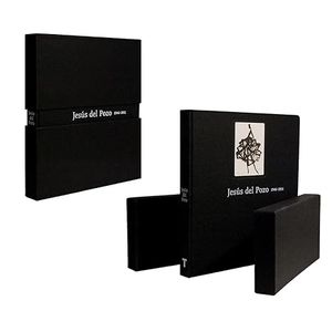 Portada del libro JESUS DEL POZO 1946-2011 Autor BELEN, ANA Y OTROS