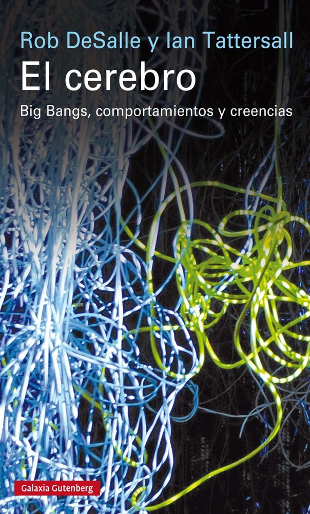 el-cerebro