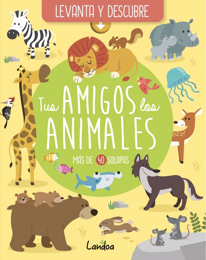 Portada