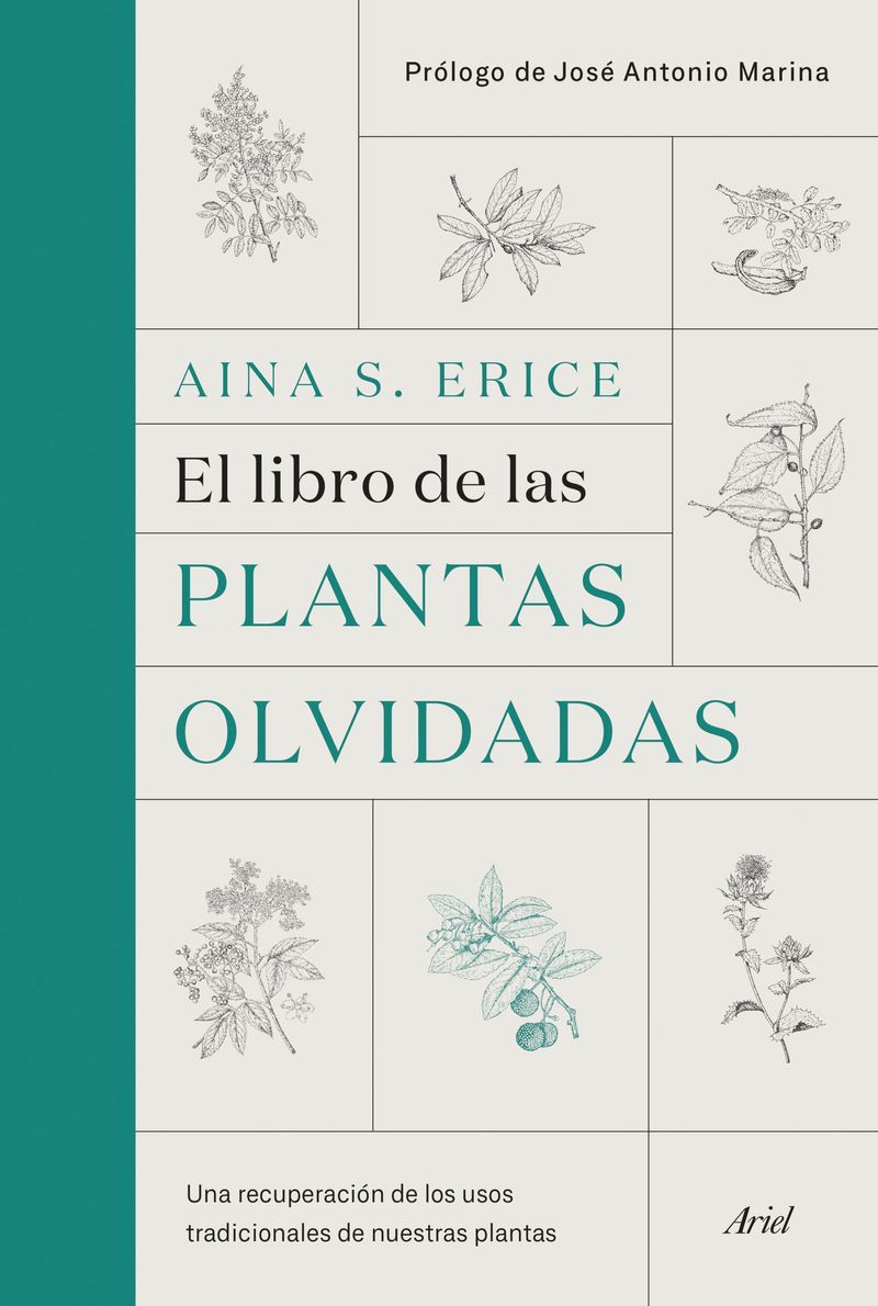 portada_el-libro-de-las-plantas-olvidadas_aina-s-erice_201910010907.jpg
