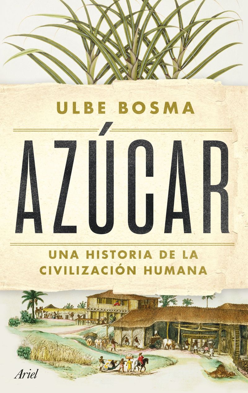 414684_portada_azucar_ulbe-bosma_202412091137.jpg