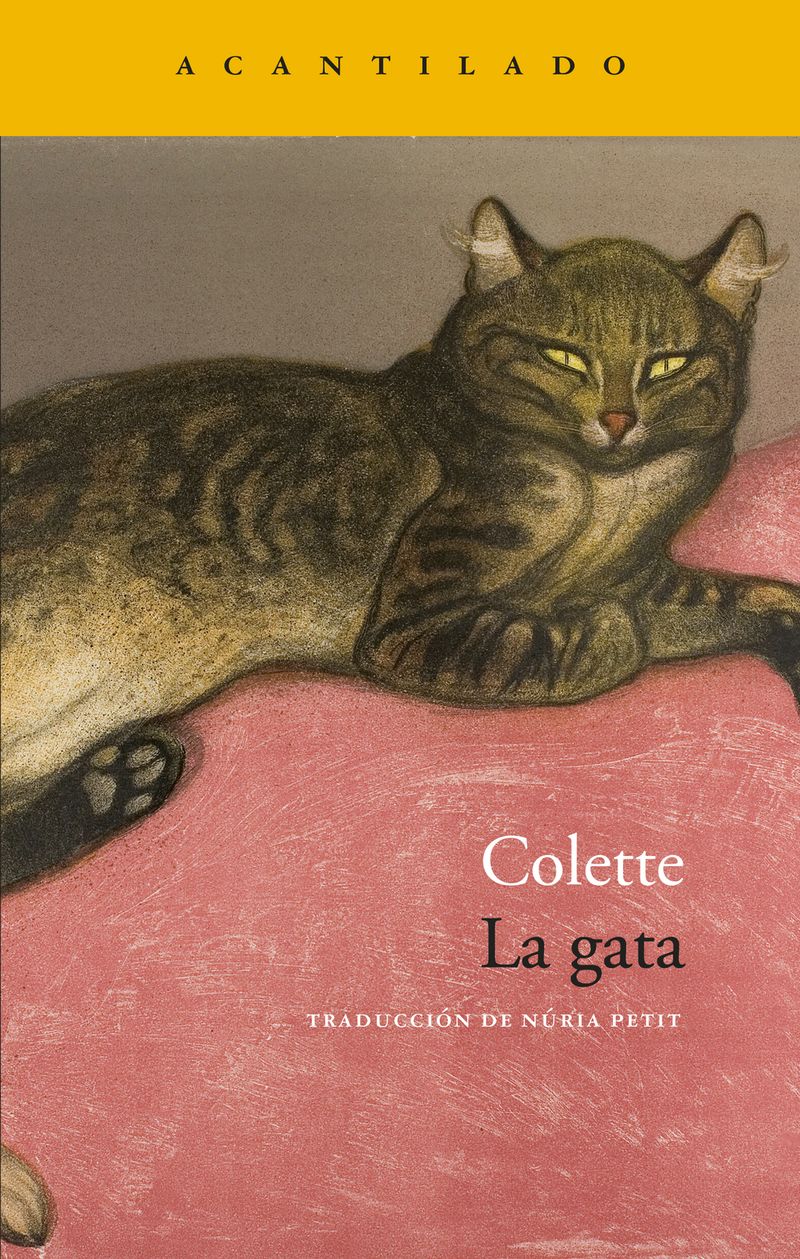 La-gata.jpg