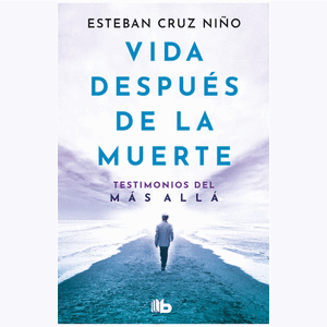 Portada del libro VIDA DESPUES DE LA MUERTE Autor CRUZ NIÑO, ESTEBAN