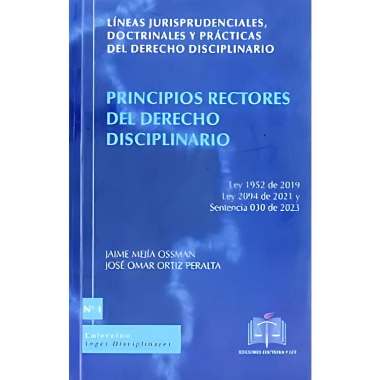 principios-rectores-lineas-juris-1_JAuDH.jpg