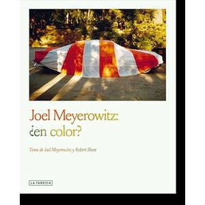 Portada del libro JOEL MEYEROWITZ EN COLOR Autor MEYEROWITZ, JOEL Y SHORE, ROBERT