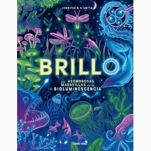 Portada del libro BRILLO Autor SMITH, JENNIFER N R
