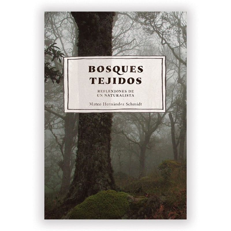 caratula-bosques-tejidosFBL-min.jpg