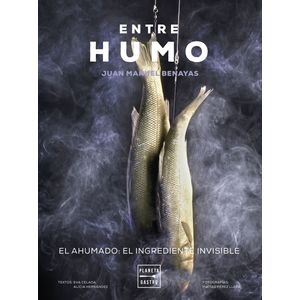 Portada del libro ENTRE HUMO Autor BENAYAS, JUAN MANUEL