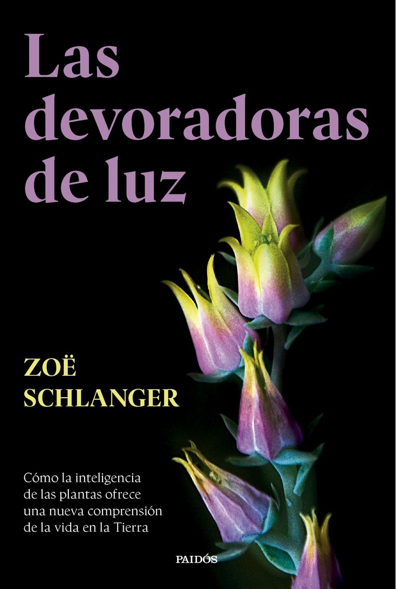 portada_las-devoradoras-de-luz_zoe-schlanger_202503170853.jpg