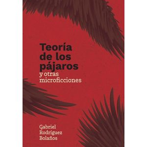 Portada del libro TEORIA DE LOS PAJAROS Autor RODRIGUEZ BOLAÑOS, GABRIEL