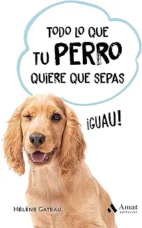 81sAF-TQUeL._AC_UY327_FMwebp_QL65_.jpg