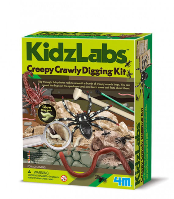 kidz-labs-excavacion-de-insectos-4m.jpg