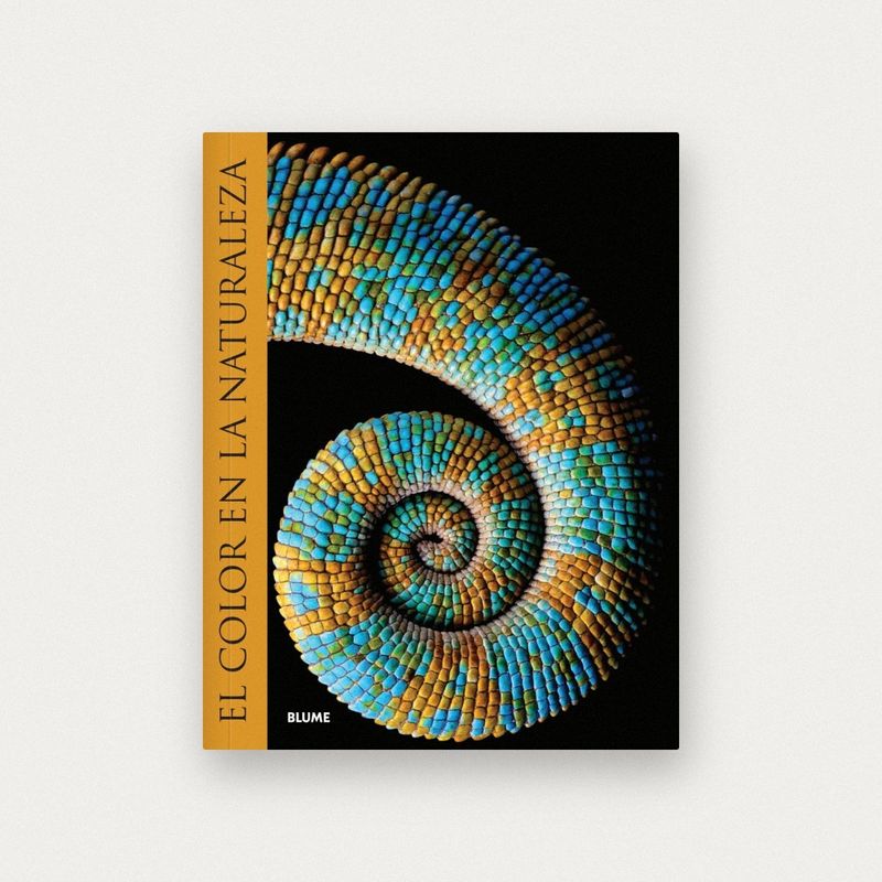 mockup-portada-4.jpg
