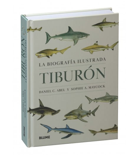 tiburon.jpg