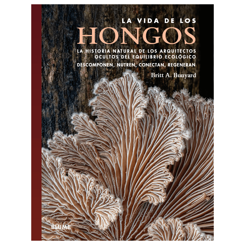 la-vida-de-los-hongos-la-historia-natural-de-los-arquitectos-ocultos-del-equilibrio-ecol%C3%B3gico.jpg