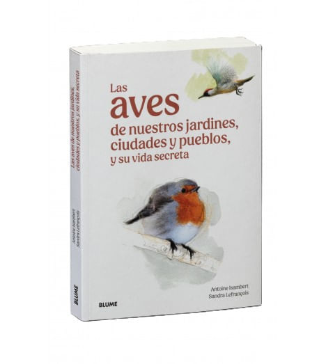 las-aves-de-nuestros-jardines-ciudades-y-pueblos.jpg