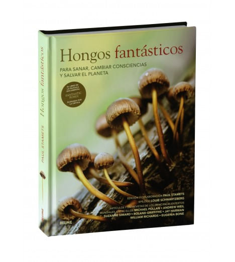 hongos-fantasticos.jpg