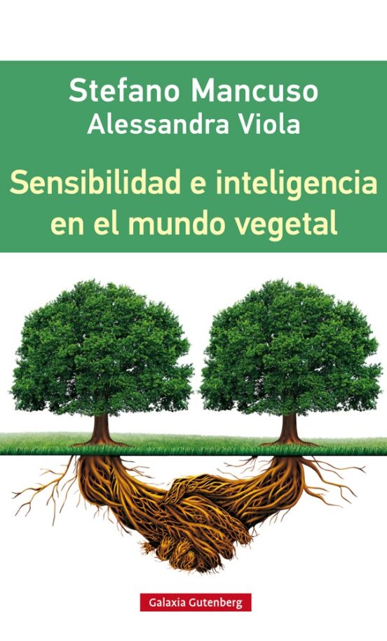 336185.jpg?s=80292