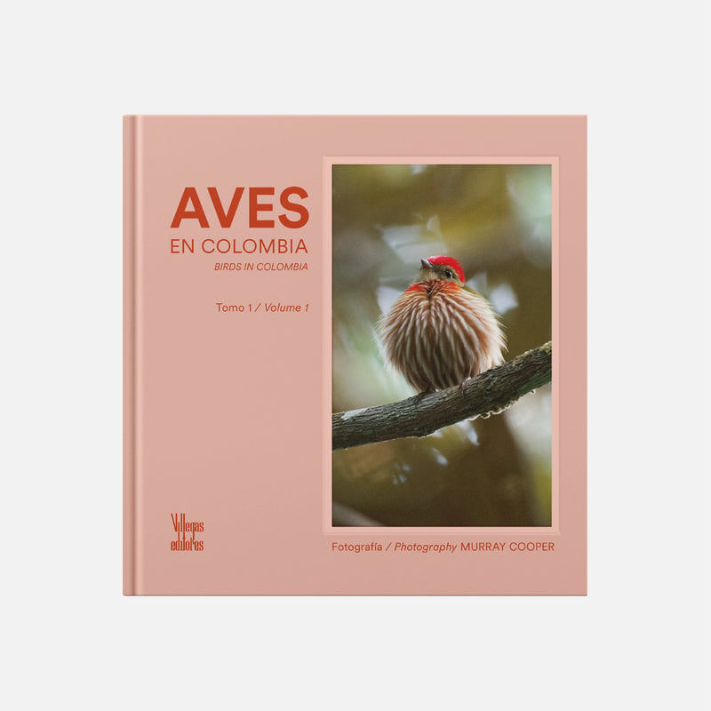 06_aves_60e86717-df28-49b3-9b54-0243db294a5f_800x800.jpg