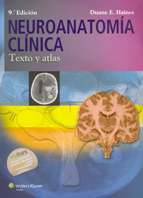 NEUROANATOMIA-CLINICA