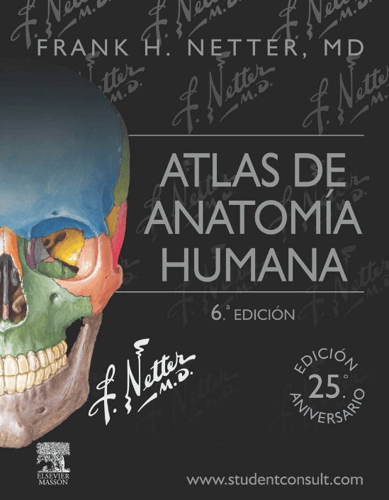 ATLAS-DE-ANATOMIA-HUMANA