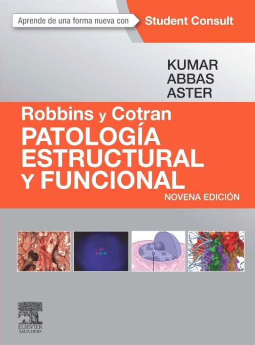 PATOLOGIA-ESTRUCTURAL-Y-FUNCIONAL