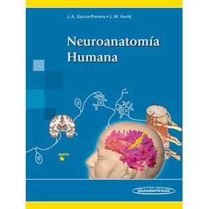 Portada del libro NEUROANATOMIA HUMANA Autor GARCIA-PORRERO PEREZ, JUAN Y OTRO
