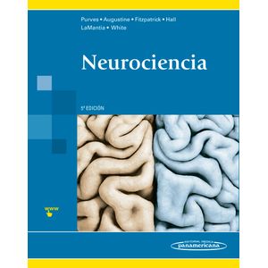 Portada del libro NEUROCIENCIA Autor PURVES, DALE Y OTROS