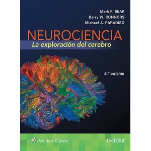 Portada del libro NEUROCIENCIA Autor BEAR, MARK F Y OTROS