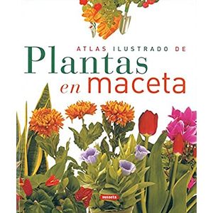 Portada del libro ATLAS ILUSTRADO DE PLANTAS EN MACETA Autor ECHAGUE, JORGE