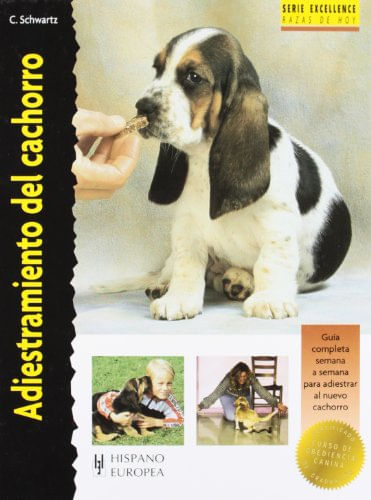 frontal.jpg