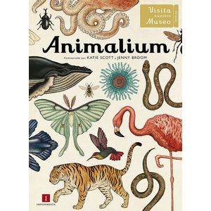 Portada del libro Animalium. Autor Jenny Bromm