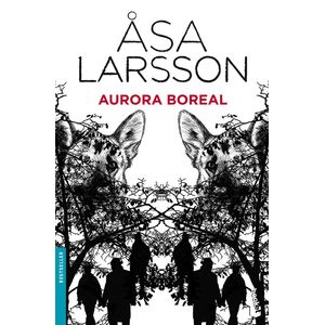 Portada del libro Aurora boreal Autor sa Larsson