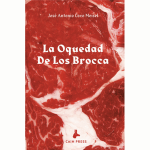 Portada del libro LA OQUEDAD DE LOS BROCCA Autor COVO MEISEL, JOSE ANTONIO